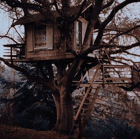 Amazing Tree House, Tree House Ideas, The Selection Kiera Cass, Pathway Decoration, Damon Torrance, Winter Ashby, Rock Pathway, Devil's Night Penelope Douglas, Selection Series