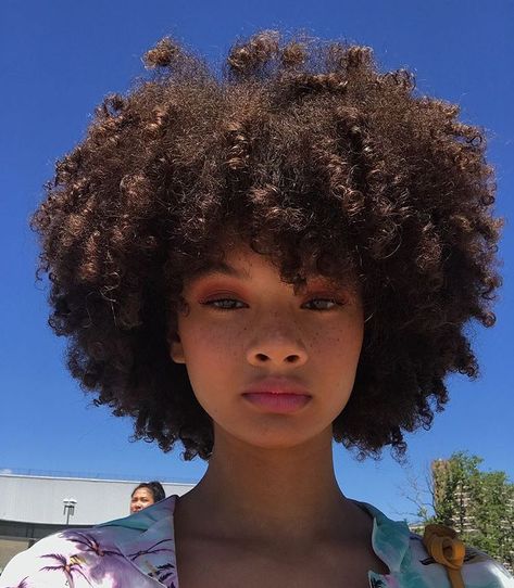 Zendaya Afro, 4a Pixie Cut, 4b Afro, Small Afro, Cabello Afro Natural, Beautiful Natural Hair, Beautiful Curly Hair, Natural Curls Hairstyles, Curly Afro