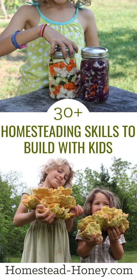 Build valuable homesteading skills while having fun with your kids! Learn together how to forage, garden, preserve food, make herbal remedies and more with this extensive list of projects, recipes, trainings, and how-tos! #homesteading #homesteadingwithkids #homeschool #homesteadingfamily Healthy Homestead Diet, Easy Homesteading Ideas, Homestead Building Projects, Homestead Decorating Ideas, Homesteading Activities For Kids, Easy Homestead Projects, Homestead In Town, Homesteading Must Haves, Homestead Meal Planning