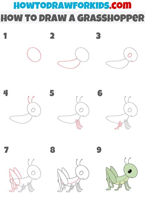 Draw Bee Step By Step, How To Draw A Grasshopper, How To Draw Dragonfly, Grasshopper Drawing Easy, How To Draw Easy Step By Step, Grasshopper Cartoon, Grasshopper Drawing, How To Draw Bugs, How To Draw Insects