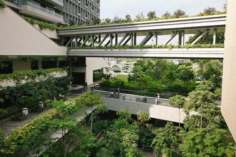 Khoo Teck Puat Hospital: How It Is Using Nature For Healing Healing Environment Architecture, Biophilic Hospital, Sustainable Hospital, Futuristic Hospital, Green Hospital, Hospital Garden, Nurse Station, Hospital Ideas, Outdoor Bridges