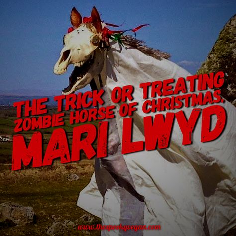 The Spooky Vegan: The Trick or Treating Zombie Horse of Christmas, Mari Lwyd Mari Lwyd Art, Mary Lwyd, Zombie Horse, Mari Lwyd, Zombie Christmas, Pagan Yule, Creepy Christmas, Dark Christmas, Rise Of The Guardians