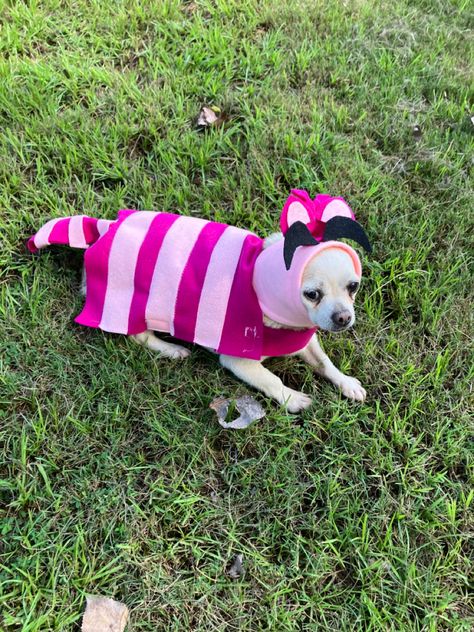 Dog costume DIY felt Cheshire Cat Alice In Wonderland Dog Costume, Dog Costume Diy, Diy Pet Costumes, Halloween Alice In Wonderland, Cat Dog Costume, Cheshire Cat Costume, Cat Alice In Wonderland, Dog Halloween Costume, Cheshire Cat Alice In Wonderland