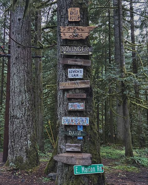 #pnw #pnwonderland #fall #signs #aesthetic #outdoor #forest #home Falls Aesthetic, Signs Aesthetic, Pnw Aesthetic, Forest Home, Yellow School Bus, Life Aesthetic, Original Characters, Fall Signs, Street Signs