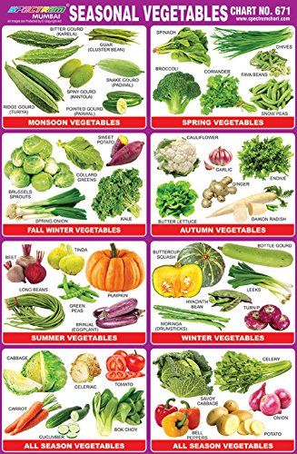 Seasonal Vegetable Chart, In Season Vegetables, Season Vegetables, Seasons Chart, Vegetable Chart, Winter Veggies, Vegetable Pictures, Kids Vegetables, Seasoned Veggies