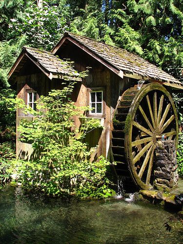 Grist Mill in Agassiz, British Columbia. Photo by techno chic on Flickr. Old Grist Mill, Windmill Water, Water Wheels, Grist Mill, Water Powers, Water Mill, Country Scenes, Water Wheel, Cabin In The Woods