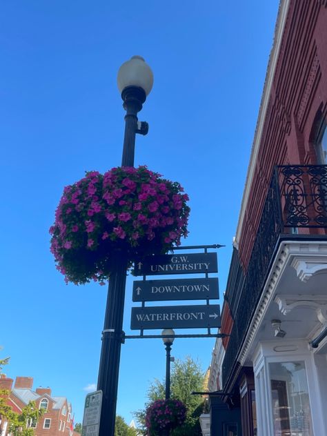 George Washington University Dorm, The George Washington University, George Washington University Aesthetic, Georgetown Dc Aesthetic, Georgetown University Aesthetic, American College Aesthetic, Red White Royal Blue Book, Georgetown Aesthetic, Gw University