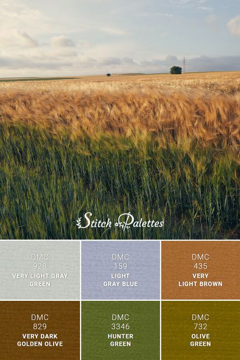 Color palette for embroidery with thread codes for the following floss colors: Light Gray Blue, Very Light Gray Green, Very Light Brown, Very Dark Golden Olive, Hunter Green, Olive Green. DMC, Anchor and Cosmo thread conversions also provided. Palette title/ID: Land Meets Sky • SPA1556 Light Olive Green Color Palette, Olive Green Yellow Color Palette, Green Yellow Tan Color Palette, Floss Crafts, Stitch Palette, Dmc Green Palette, Dark Academia Color Palette, Dark Academia Color, Coral Reef Color