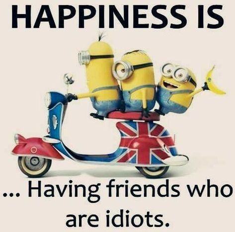 Minion Humour, Funny Minion Pictures, Funny Minion Memes, Minion Jokes, Funny Friends, A Minion, Funny Disney Jokes, Hilarious Jokes, Weird Quotes Funny