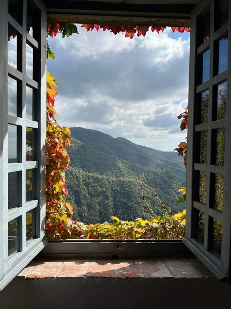 Window Scenery, Window Views, Beautiful Background, Window View, Open Window, Through The Window, Beautiful Backgrounds, Nature Animals, Art Board