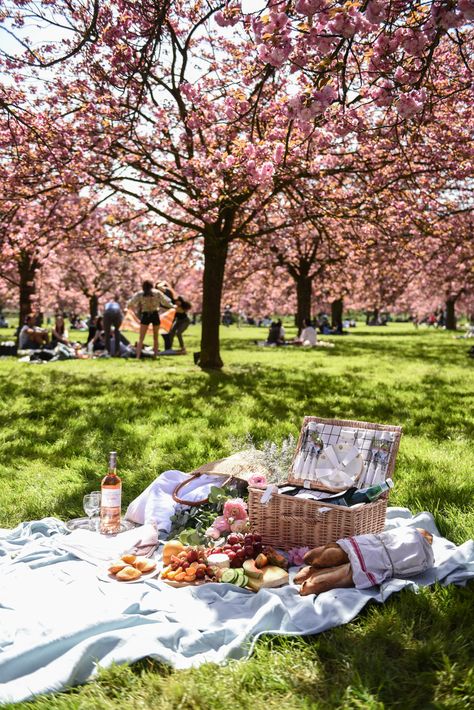 Picnic Inspiration, Romantic Picnics, Picnic Date, Perfect Picnic, Picnic Time, Picnic Food, Picnic In The Park, Tumblr Photography, Picnic Party