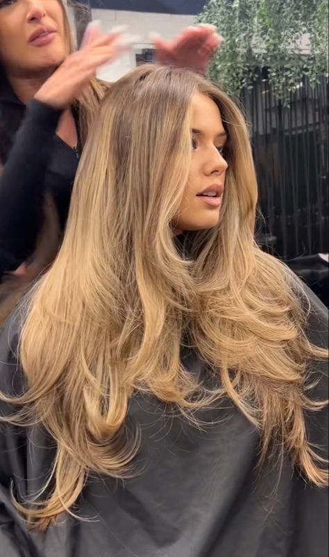 Light Golden Highlights, Sun Kissed Bronde Balayage, Honey Blonde Hair Shadow Root, Brown To Golden Blonde Balayage, Light Brown Hair With Honey Highlights Golden Blonde, Golden Honey Blonde Balayage Brunettes, Honey Golden Brown Hair, Honey Brown Blonde Hair, Golden Dark Blonde Hair