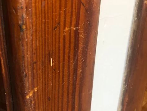 How To Restain Wood Trim, Old Wood Trim Update, Refinishing Wood Trim, Restraining Wood Trim, Stained Molding Wood Trim, Painted Wood Trim Before And After, Restaining Wood Trim, Refinish Wood Trim, Dark Stained Wood Trim