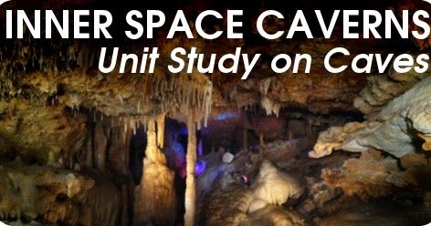 I'm in no way affiliated with Inner Space Caverns.   These pages may include Amazon affiliate links which can earn me commission. ... Caves Unit Study, Cave Pool, Luray Caverns, Cave Art, Teacher Planning, Unit Studies, Homeschool Lesson, Science Curriculum, Local Library