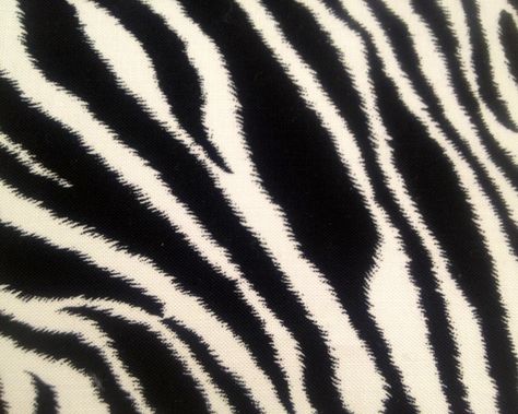 Zebra...add animal print to your T-shirt❤ #1300 college-graffiti.com Zebra Print Aesthetic, Zebra Print Wallpaper, Lisa Or Lena, Derpy Hooves, Y2k Girl, Print Aesthetic, Animal Icon, Black And White Fabric, Luxury Wallpaper