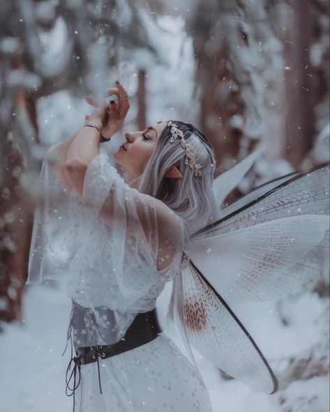 Fairy Winter Fairy Costume Diy, Winter Fairy Photoshoot, Winter Aesthetic Photoshoot, Winter Cosplay Ideas, Winter Fantasy Photoshoot, Ice Fairy Aesthetic, Swiss Photoshoot, Yule Photoshoot, Winter Themed Photoshoot