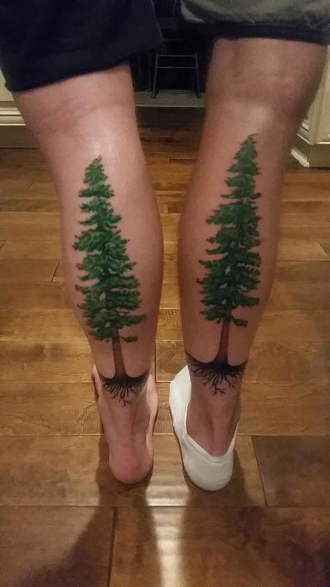 Redwood Tree Tattoo, Tatto Man, Geometric Bear Tattoo, Redwood Tattoo, Tree Roots Tattoo, Watercolor Tattoo Tree, Roots Tattoo, Places For Tattoos, Tattoo Tree