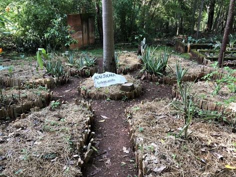 How to make a Mandala Garden - Planet Schooling Mandala Garden Permaculture, Mandala Garden, Ceramic Roof Tiles, Beautiful Definitions, Torres Strait Islander, Lemon Verbena, Top Soil, Marjoram, Fermenting