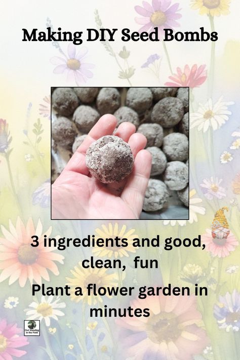 Quick, easy, kids craft for spring, and it is Eco-friendly. Plant your spring garden with seed bombs.  Kids love them. Garden Crafts For Kids Preschool, Seed Bomb Directions Printable, Seed Crafts For Kids, Garden Projects For Kids, Spring Garden Crafts, Flower Seed Gifts, Craft For Spring, Outstanding In The Field, Earth Day Activities For Kids