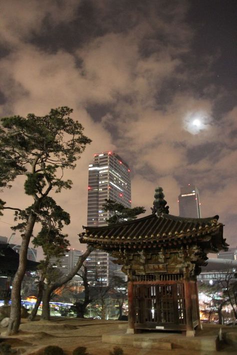 ¿No quieres estudiar la universidad en México? Corea del Sur es una buena opción, te contamos qué necesitas para emprender esta aventura asiática. #traveloftheworld #travel  #corea Seoul City Night Aesthetic, Seoul Night Aesthetic, Seoul At Night, Seoul Night, South Korea Photography, Seoul City, Korea Aesthetic, South Korea Seoul, South Korea Travel