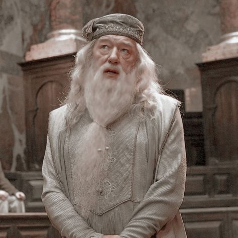 Albus Dumbledore Aesthetic, Yn Stories, Harry Potter Dumbledore, Michael Gambon, Harry Potter Icons, Harry Potter Pictures, Harry Potter Theme, Albus Dumbledore, Harry Potter Cast