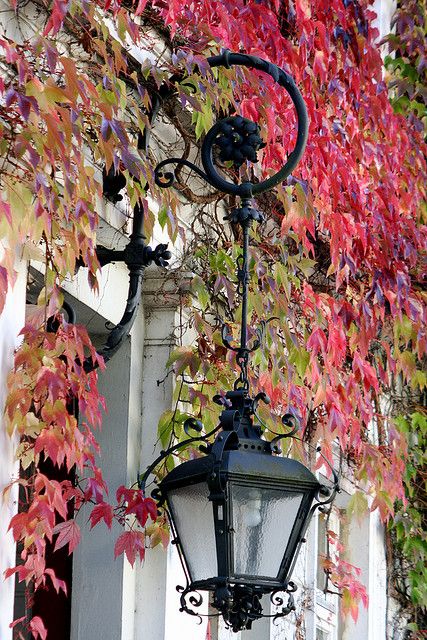 Old Lanterns, Raindrops And Roses, Lamp Posts, Porch Light, Garden Lanterns, Old Lights, Old Lamps, Lantern Lamp, My Favourite Things