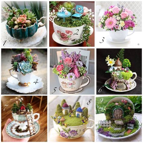 Teacup Tuesday – 26th May 2020 – the Tafferty Designs Blog Teacup Fairy Gardens, Teacup Gardens How To Make, Teacup Succulent Diy, Teacup Art Project, Tea Cup Fairy Garden Ideas, Teacup Fairy Garden Ideas, Tea Cup Garden Ideas, Broken Cups Diy Ideas, Flower In Teacup