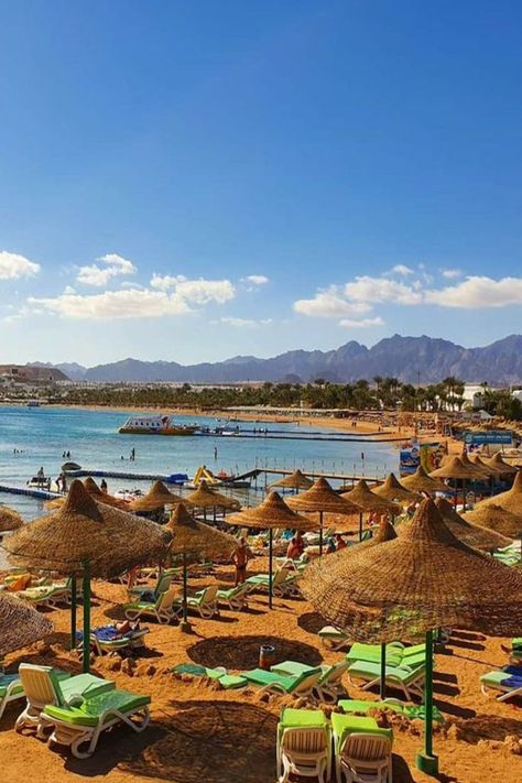 Naama Bay - Trips In Egypt Magical Door, Egypt Resorts, Egypt Culture, Egypt Tours, The Red Sea, Visit Egypt, Sharm El Sheikh, Egypt Travel, Red Sea