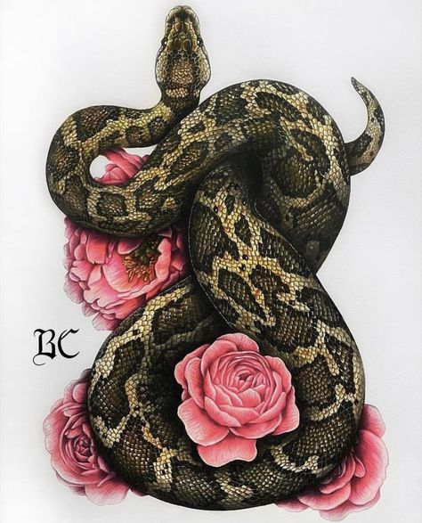 Snake With Flowers Drawing, Tom Gates, Snake Painting, Copic Drawings, Snake Drawing, Bottle Tattoo, Sketches Pencil, Snake Art, Relaxing Art