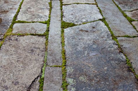 Hardscaping 101: Granite - Gardenista Matt Cunningham, Landscape Rock, Stone Patio, Garden Pathway, Paving Stones, Landscaping With Rocks, Landscape Architect, Backyard Landscaping Designs, Garden Paths