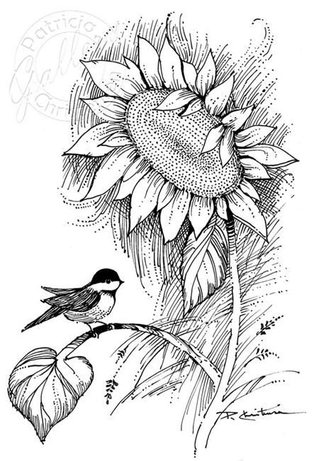 Chickadee & Sunflower Sunflower Coloring Pages, Sunflower Drawing, Mata Hari, Wood Burning Patterns, Wood Burning Art, Sunflower Art, Pencil Art Drawings, Profile Page, A Drawing