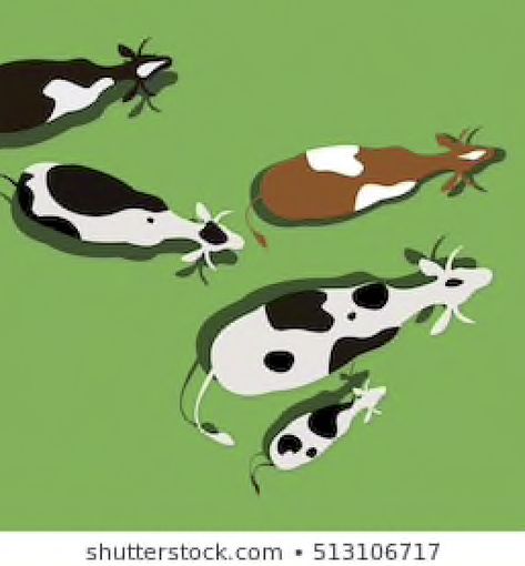 Cow Tops, Cows Grazing, Birds Eye View, Vector Stock, Birds Eye, Top View, Olaf The Snowman, Stock Vector, Digital Drawing