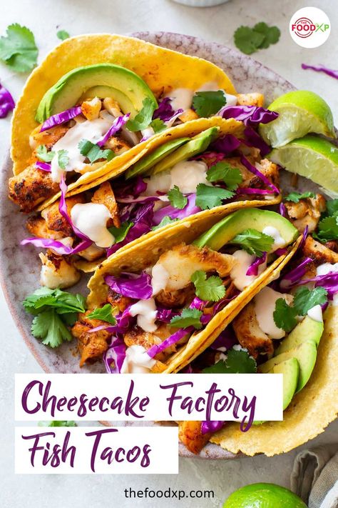 Looking for a quick and perfect fish taco recipe? This Cheesecake Factory Fish Tacos recipe would be perfect for you as it is easy to make and tastes delicious. Visit the THEFOODXP blog and check out the recipe. #cheesecakefactoryfishtacos #cheesecakefactoryfishtacosrecipe #cheesecakefactoryrecipes #fishtacosrecipes #tacorecipes Ono Fish Tacos, Tilapia Fish Tacos Recipes, Breaded Fish Tacos, Easy Fish Taco Recipe, Best Fish Taco Recipe, Slaw For Fish Tacos, Wraps Ideas, Fish Tacos With Cabbage, Fish Taco Recipe