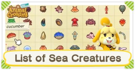 Acnh Sea Creatures List, Giant Isopod, Fish List, Chambered Nautilus, Mantis Shrimp, Museum Guide, Giant Clam, Horseshoe Crab, Fish Icon