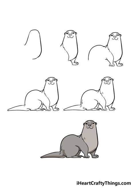 How To Draw An Otter, How To Draw An Otter Step By Step, Otter Step By Step Drawing, Otter Sketch, Otter Anatomy Drawing, Otter Drawing Sketches, Sea Otter Sketch, River Otter Drawing, Otter In Water Drawing