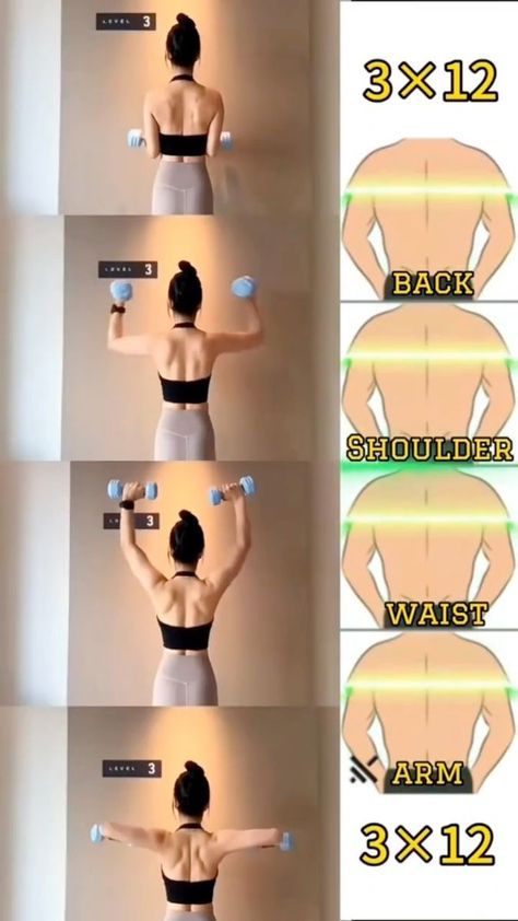 Back Workout At Home, Back Workout Women, Lower Back Exercises, Back Exercises, Back Workout, Upper Body Workout, Health And Fitness Tips, Lose Belly, Easy Workouts