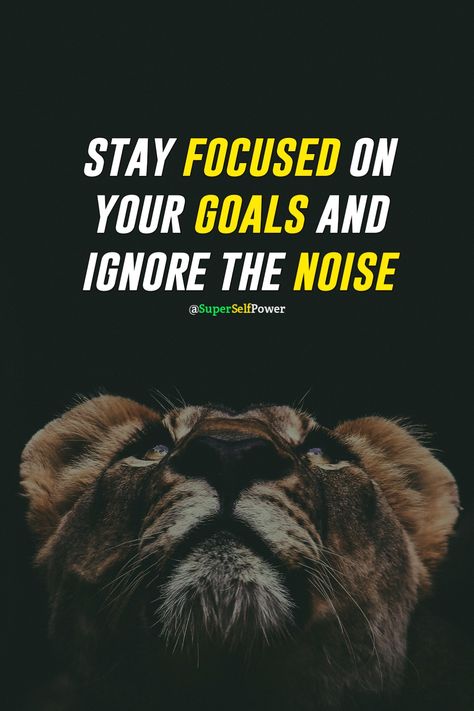 Quotes On Mindset Motivation, Motivation For Men Inspiration, Focus Goals Quotes, Focus Your Goal, Stay Focused On Your Goals Quotes, Focus On The Goal Quotes, Staying Focused On Goals, Focus On Improving Yourself Quotes, Discipline Quotes Stay Focused