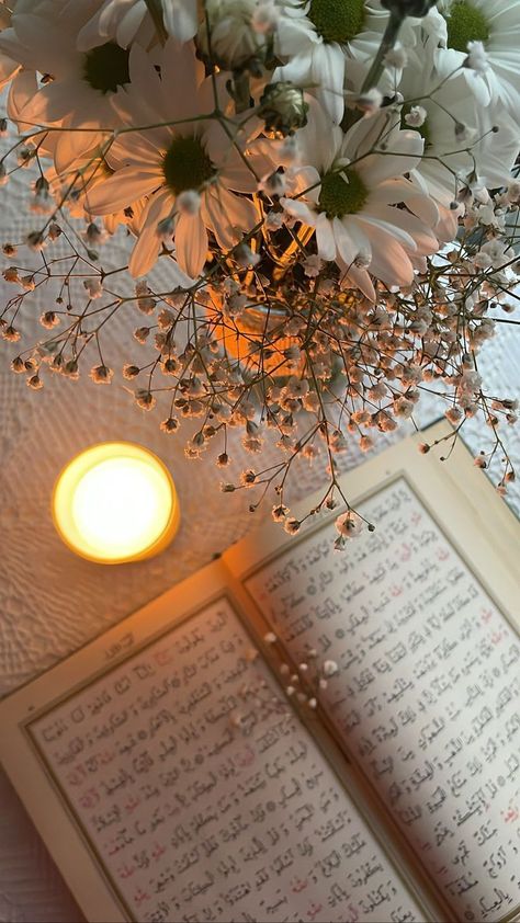 White Flowers, Quran, Flowers, White