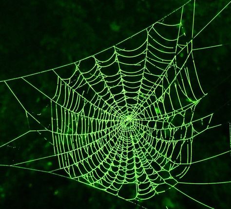 Neon Spiderweb Green Light, Spider Web, In The Dark, Neon, For Women, Green