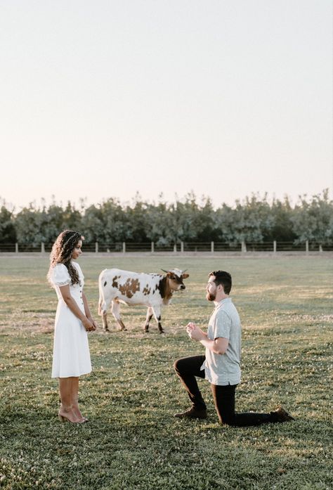 My fiance proposed at Lone Oaks Longhorn ranch in Yuba, CA! It was a magical engagement. Western Proposal Ideas, Simple Proposal Ideas Engagement, Engagement Proposal Ideas, Dream Future, Simple Engagement, Engagement Proposal, Gettin Hitched, Engagement Ideas, Proposal Engagement