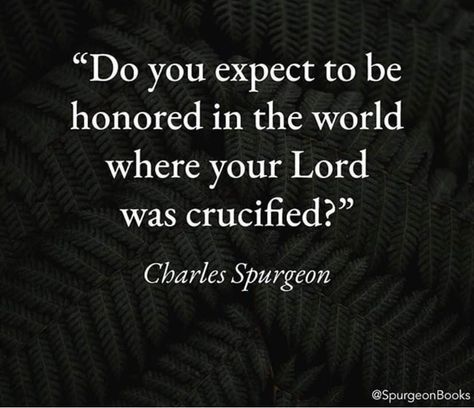 Spurgeon. Do you expect to be honoured in the world where your lord was crucified? Ravi Zacharias, Biblical Scriptures, Charles Spurgeon Quotes, Study Topics, Wise Thoughts, Spurgeon Quotes, Godly Life, Church Bulletin, The New Testament