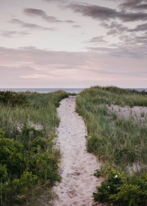 Cape Cod Landscape, Nature In Winter, Cape Cod Landscaping, Honey Images, Cape Cod Aesthetic, Beach Path, Cape Cod Beaches, Wanderlust Photography, Fall Landscape