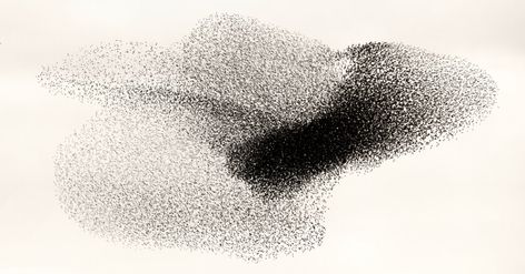 Murmuration Art, Flight Patterns, Japanese Landscape, Japanese Woodblock Printing, 3d Warehouse, Starling, Organic Shapes, White Photography, Ink Drawing