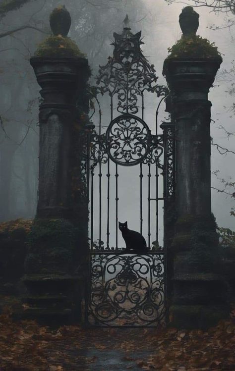 Witchy Asthetic Picture, Gothic Novel Aesthetic, Dark Goth Wallpaper, Goth Pic, Spooky Wallpaper Aesthetic, Gothic Wallpaper Aesthetic, Gothic Photos, Gothic Gate, Gothic Autumn