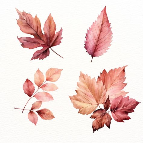 26 Dusty Pink Leaves Clipart, for Autumn Floral Frames, Botanical Leaf Elements in Blush and Pastel Rose, Fall Wedding Invitation https://digitalduskyrose.etsy.com/listing/1722056224 🔗 Explore More: For more design inspiration, explore our other Autumn & Halloween collections here: https://www.etsy.com/uk/shop/DigitalDuskyRose?section_id=44386565 Rose Fall Wedding, Fall Leaves Tattoo, Watercolor Autumn Leaves, Leaves Clipart, Foto Collage, Baby Rosa, Floral Frames, Leaf Clipart, Pastel Roses