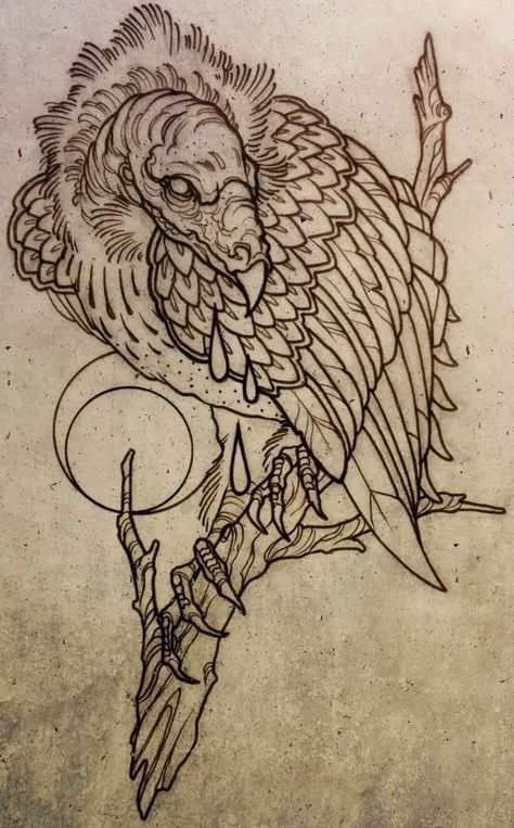 Turkey Vulture Tattoo, Traditional Vulture Tattoo, Cartoon Vulture, Vulture Tattoo, Turkey Vulture, Bullet Art, Tattoo Filler, Tattoo Traditional, Sketch Tattoo Design