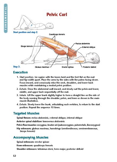 Pilates Anatomy, Pilates Teacher Training, Study Yoga, Psoas Release, Pilates Teacher, Yoga Anatomy, Pilates Body, Pilates For Beginners, Pilates Instructor