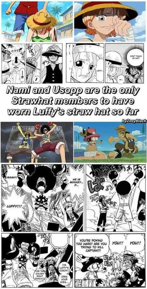 . One Piece Theories, The Familiar Of Zero, One Piece New World, Pieces Facts, One Piece Nico Robin, Anime Facts, Anime For Life, Luffy X Nami, One Piece Cosplay