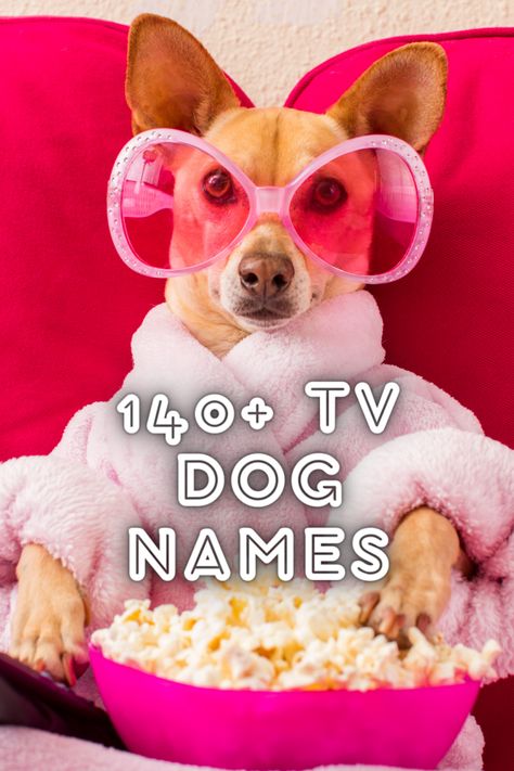 140+ TV Dog Names from Your Favorite Shows Dog Names After Characters, Cartoon Dog Names, Red Hair Dog, Boy Dog Names, Girl Dog Names, Dire Wolf, Classic Television, Yellow Labrador, Saturday Morning Cartoons