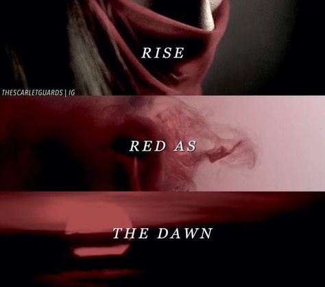 Queen Scarlet, Red Queen Quotes, The Red Queen Series, Fangirl Book, Dark Kingdom, Red Queen Victoria Aveyard, Victoria Aveyard, Queen Aesthetic, Red Queen